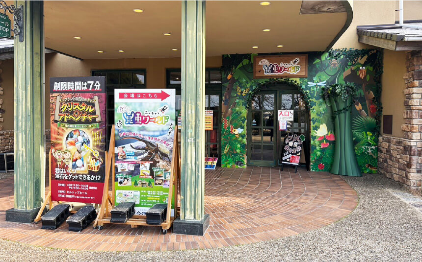 輝く昆虫ワールド