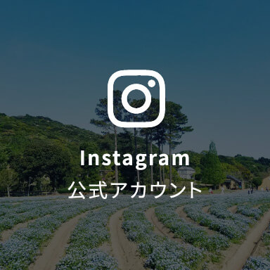 Instagram公式アカウント